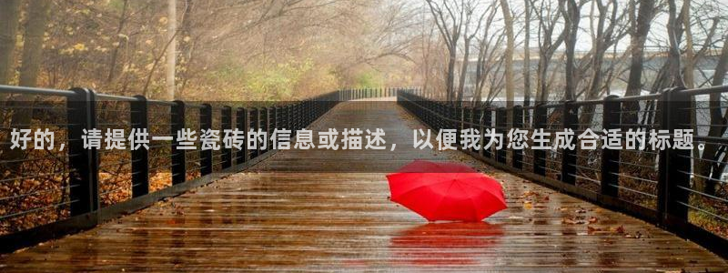 万事娱乐主管：好的，请提供一些瓷砖的信息或描述，以便我为您生成合适的标题。