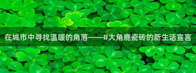 万事娱乐招商
