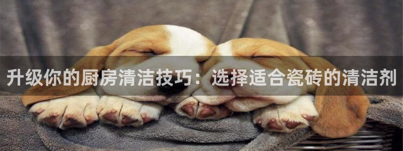万事2娱乐怎么样