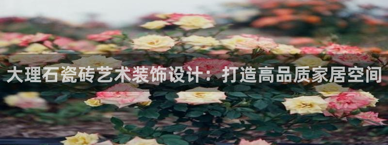 万事达娱乐荣誉21
