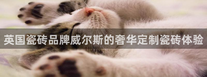 万事达娱乐指尖下